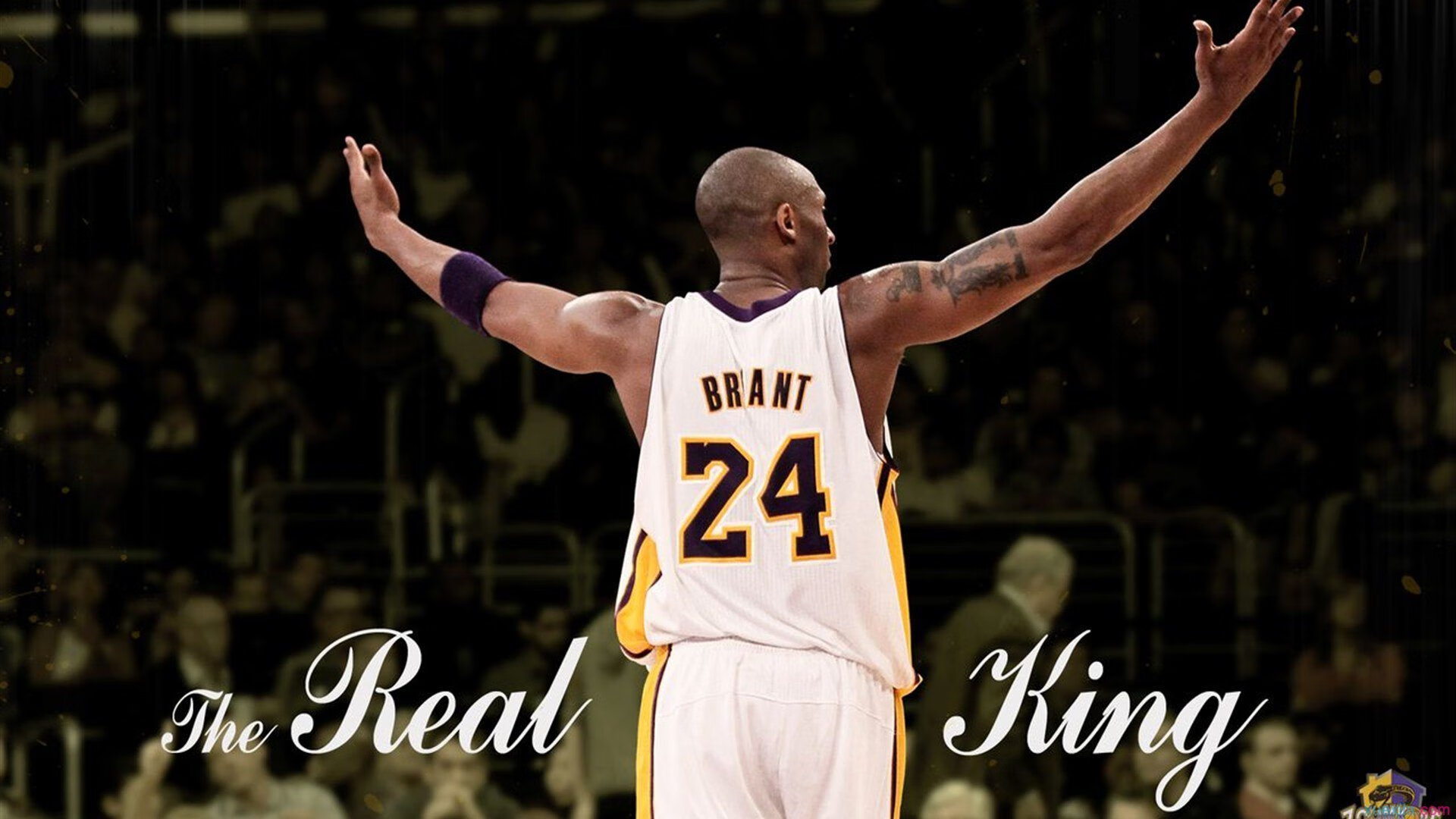 赛事焦点人物专题报道发布,赛事新闻