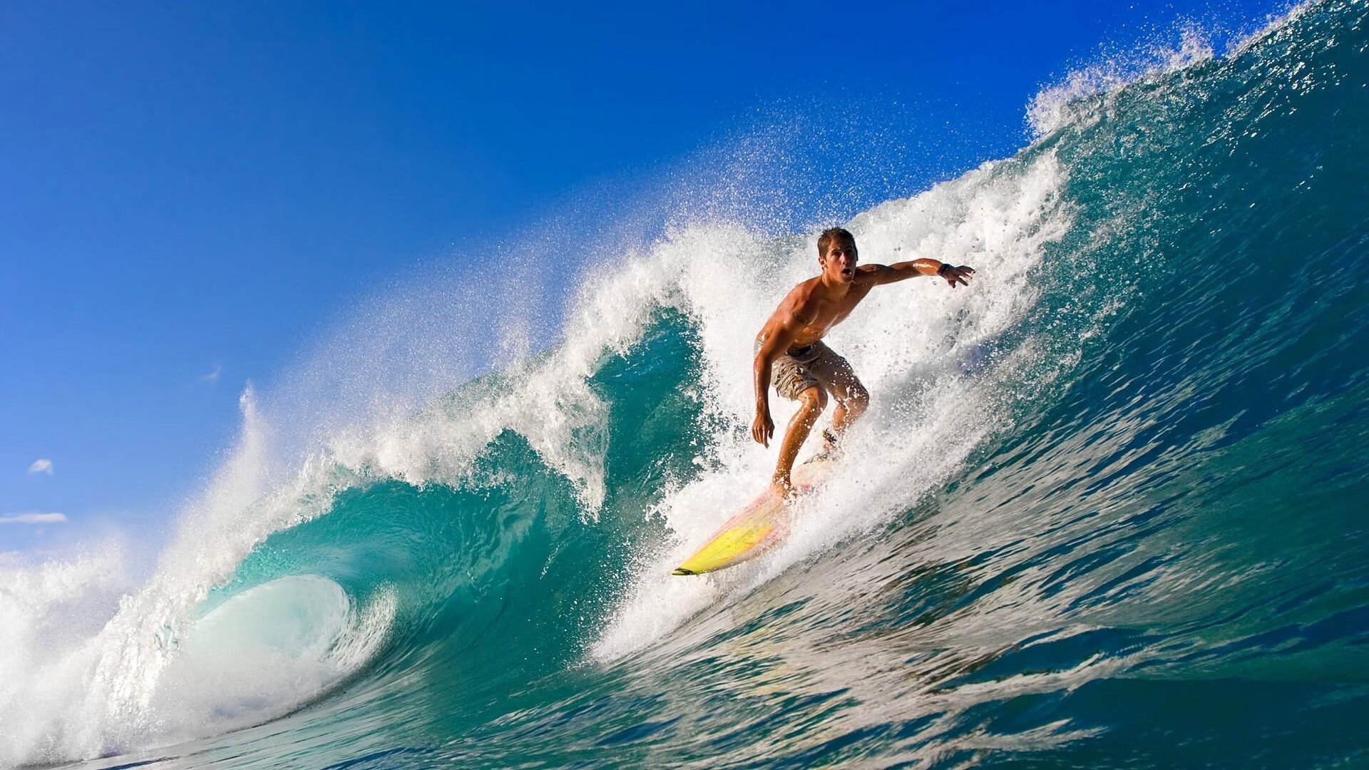 开云·Kaiyun网页版-金光闪耀，2025年度最燃赛事来了！